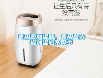 知識百科食用菌加濕器，食用菌大棚加濕必不可少