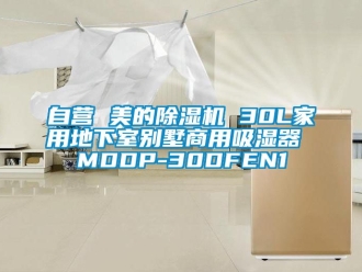 常見問題自營 美的除濕機(jī) 30L家用地下室別墅商用吸濕器 MDDP-30DFEN1