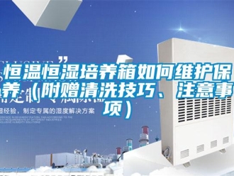 知識(shí)百科恒溫恒濕培養(yǎng)箱如何維護(hù)保養(yǎng)（附贈(zèng)清洗技巧、注意事項(xiàng)）