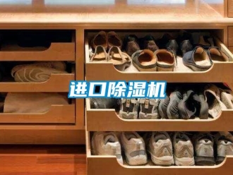 行業(yè)新聞進(jìn)口除濕機(jī)