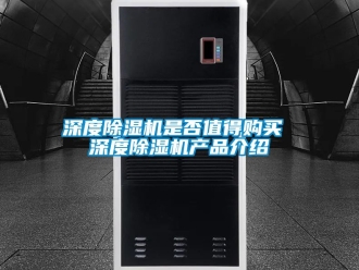 行業(yè)新聞深度除濕機(jī)是否值得購(gòu)買(mǎi) 深度除濕機(jī)產(chǎn)品介紹