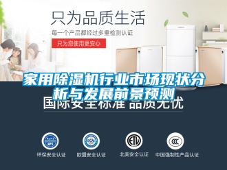 常見(jiàn)問(wèn)題家用除濕機(jī)行業(yè)市場(chǎng)現(xiàn)狀分析與發(fā)展前景預(yù)測(cè)