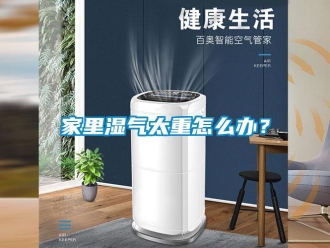 常見(jiàn)問(wèn)題家里濕氣太重怎么辦？