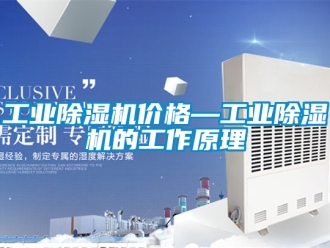 常見問題工業(yè)除濕機價格—工業(yè)除濕機的工作原理