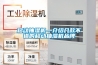 移動抽濕機(jī)—介紹幾款不錯的移動抽濕機(jī)品牌