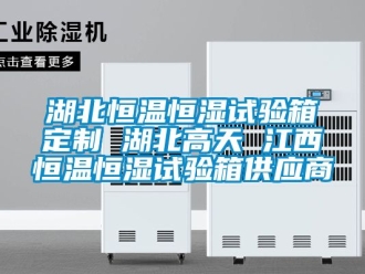 知識(shí)百科湖北恒溫恒濕試驗(yàn)箱定制 湖北高天 江西恒溫恒濕試驗(yàn)箱供應(yīng)商