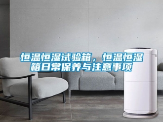 知識(shí)百科恒溫恒濕試驗(yàn)箱，恒溫恒濕箱日常保養(yǎng)與注意事項(xiàng)