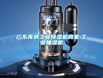 常見(jiàn)問(wèn)題廣東庫(kù)房工業(yè)除濕機(jī)商家,工業(yè)抽濕機(jī)