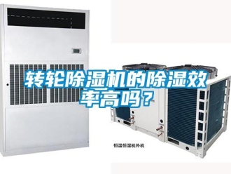 常見問題轉(zhuǎn)輪除濕機(jī)的除濕效率高嗎？