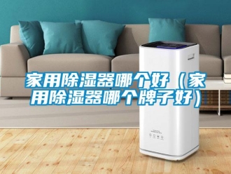 行業(yè)新聞家用除濕器哪個(gè)好（家用除濕器哪個(gè)牌子好）