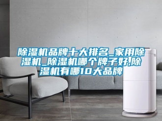 企業(yè)新聞除濕機品牌十大排名_家用除濕機_除濕機哪個牌子好,除濕機有哪10大品牌
