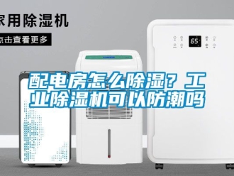 常見(jiàn)問(wèn)題配電房怎么除濕？工業(yè)除濕機(jī)可以防潮嗎