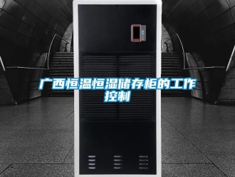 知識(shí)百科廣西恒溫恒濕儲(chǔ)存柜的工作控制
