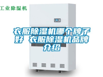 企業(yè)新聞衣服除濕機(jī)哪個牌子好 衣服除濕機(jī)品牌介紹