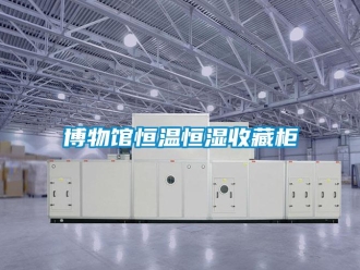 知識百科博物館恒溫恒濕收藏柜