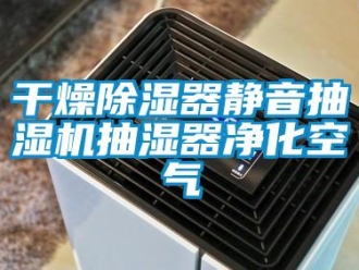 行業(yè)新聞干燥除濕器靜音抽濕機抽濕器凈化空氣