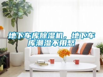 企業(yè)新聞地下車(chē)庫(kù)除濕機(jī)，地下車(chē)庫(kù)潮濕不用愁