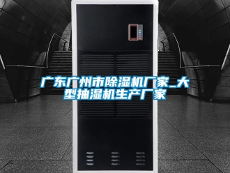 企業(yè)新聞廣東廣州市除濕機(jī)廠家_大型抽濕機(jī)生產(chǎn)廠家