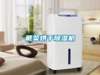 行業(yè)新聞蕨菜烘干除濕機