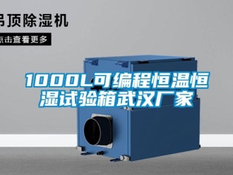 常見(jiàn)問(wèn)題1000L可編程恒溫恒濕試驗(yàn)箱武漢廠家