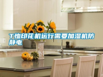 常見問題T恤印花機(jī)運(yùn)行需要加濕機(jī)防靜電