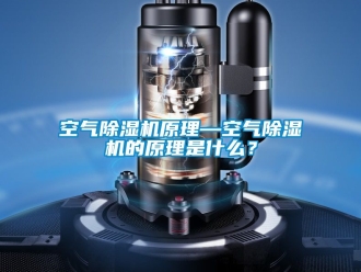 行業(yè)新聞空氣除濕機原理—空氣除濕機的原理是什么？