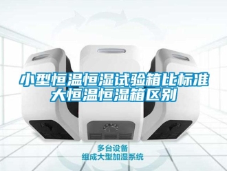 知識百科小型恒溫恒濕試驗(yàn)箱比標(biāo)準(zhǔn)大恒溫恒濕箱區(qū)別