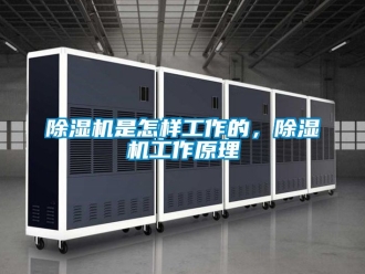 行業(yè)新聞除濕機是怎樣工作的，除濕機工作原理