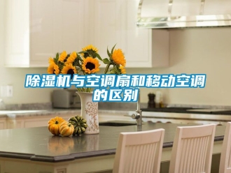 行業(yè)新聞除濕機(jī)與空調(diào)扇和移動(dòng)空調(diào)的區(qū)別