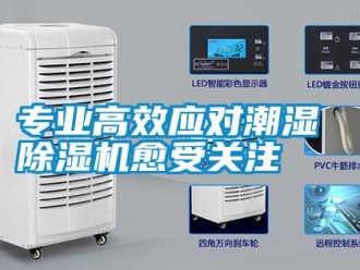 知識(shí)百科專業(yè)高效應(yīng)對(duì)潮濕 除濕機(jī)愈受關(guān)注