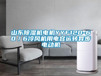 行業(yè)新聞山東除濕機(jī)電機(jī)YYF120-60／6冷風(fēng)機(jī)用電容運(yùn)轉(zhuǎn)異步電動機(jī)