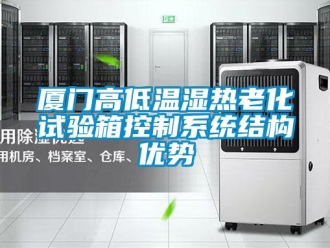 常見(jiàn)問(wèn)題廈門高低溫濕熱老化試驗(yàn)箱控制系統(tǒng)結(jié)構(gòu)優(yōu)勢(shì)