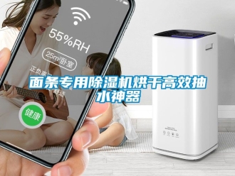 行業(yè)新聞面條專用除濕機烘干高效抽水神器