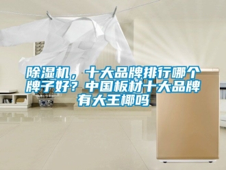 企業(yè)新聞除濕機(jī)，十大品牌排行哪個牌子好？中國板材十大品牌有大王椰嗎