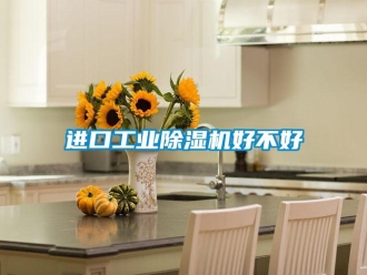 行業(yè)新聞進(jìn)口工業(yè)除濕機(jī)好不好
