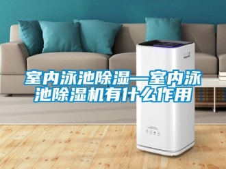 行業(yè)新聞室內泳池除濕—室內泳池除濕機有什么作用