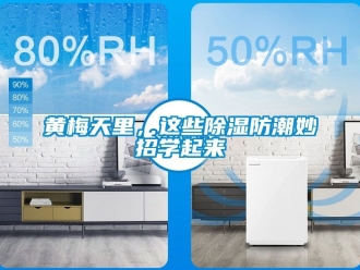常見問題黃梅天里，這些除濕防潮妙招學(xué)起來
