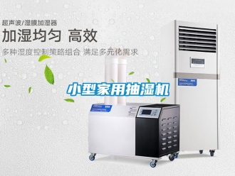企業(yè)新聞小型家用抽濕機(jī)