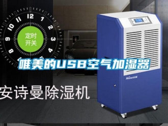 知識(shí)百科唯美的USB空氣加濕器