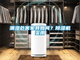 企業(yè)新聞潮濕危害家具如何？除濕機(jī)實(shí)用