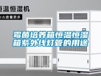 知識(shí)百科霉菌培養(yǎng)箱恒溫恒濕箱紫外線燈管的用途