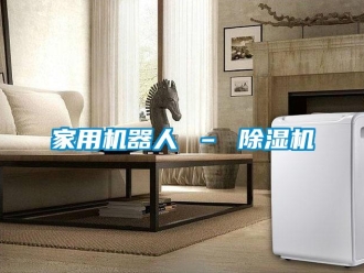 常見問題家用機(jī)器人 – 除濕機(jī)