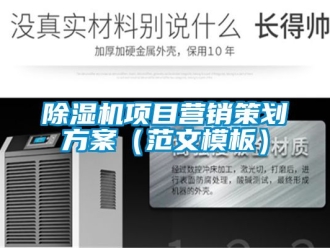 行業(yè)新聞除濕機項目營銷策劃方案（范文模板）