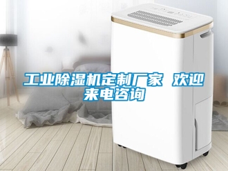 企業(yè)新聞工業(yè)除濕機(jī)定制廠家 歡迎來(lái)電咨詢
