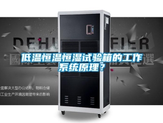 知識百科低溫恒溫恒濕試驗(yàn)箱的工作系統(tǒng)原理？