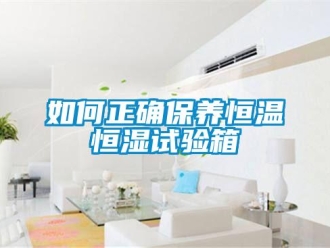 知識(shí)百科如何正確保養(yǎng)恒溫恒濕試驗(yàn)箱