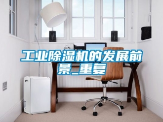 常見問題工業(yè)除濕機的發(fā)展前景_重復(fù)