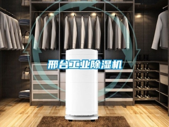 常見(jiàn)問(wèn)題邢臺(tái)工業(yè)除濕機(jī)