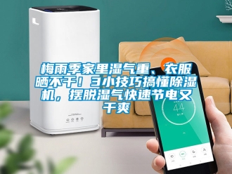 行業(yè)新聞梅雨季家里濕氣重、衣服曬不干！3小技巧搞懂除濕機，擺脫濕氣快速節(jié)電又干爽