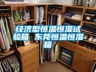 知識(shí)百科經(jīng)濟(jì)型恒溫恒濕試驗(yàn)箱 東莞恒溫恒濕箱